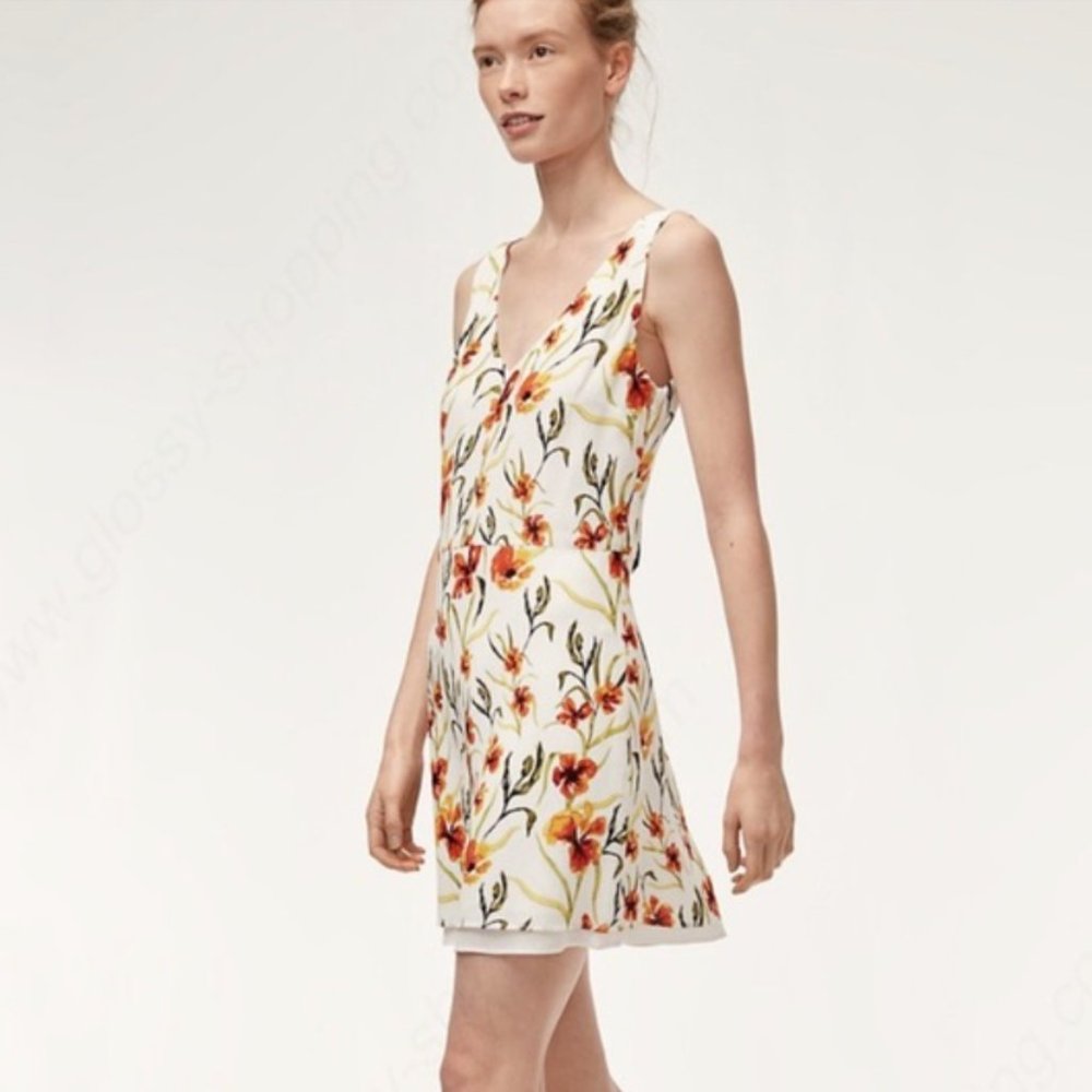 Aritzia Little Moon Stellera Dress